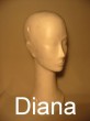 Styroporkopf DIANA