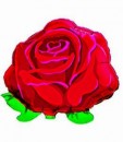 Folienballon Rose � 60cm 