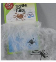 Spinne und Fliege