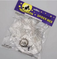 Spinne mit Spinnennetz
