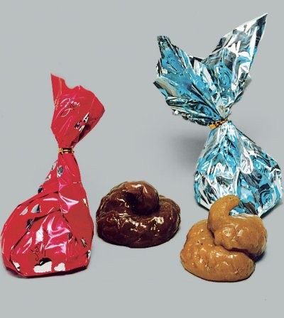 Geschenk-Hundehaufen, Kot