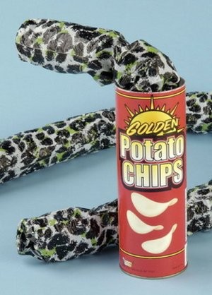 gro�e Chips-Dose mit Schlange