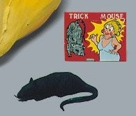 Maus
