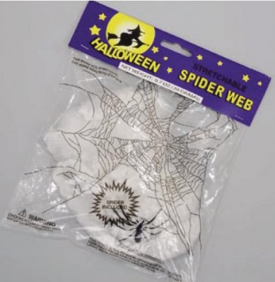 Spinne mit Spinnennetz